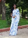 DSC02471.webp