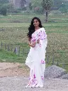 DSC02586.webp