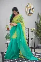 DSC03503.webp