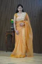 pixel_studio_20260601_18251060.webp