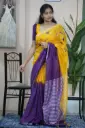 Linen Embroidery saree - Designer saree