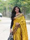 Designer Soft Silk Saree | Sequin Detailing | Partywear with Blouse 