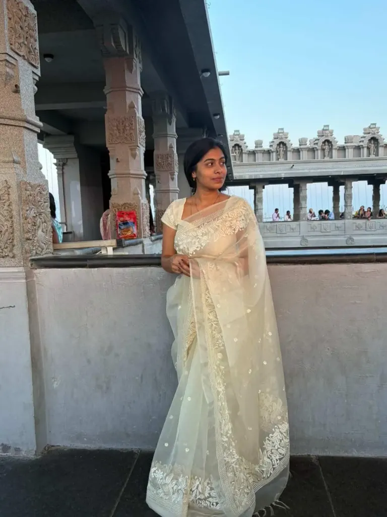 Organza saree with Resham work